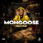 Fully Bad – Mongoose