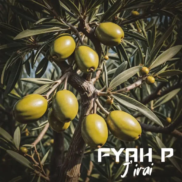 Fyah P - J’irai