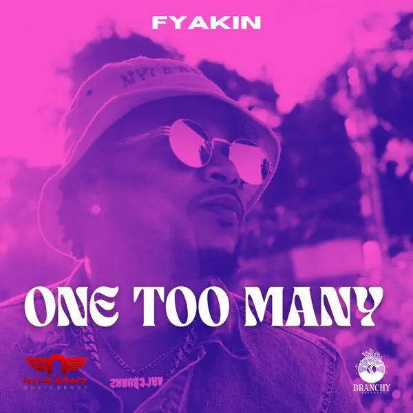 fyakin - one too many