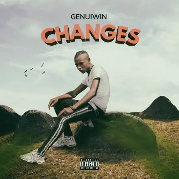 genuiwin - changes