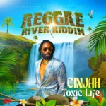 Ginjah – Toxic Life
