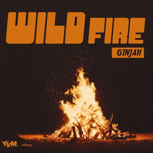 ginjah - wild fire