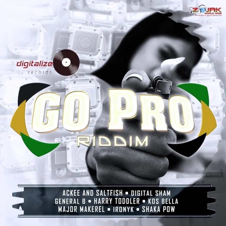 Go Pro Riddim - Digitalize Records
