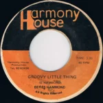 Groovy Little Thing Riddim – Harmony House, VP