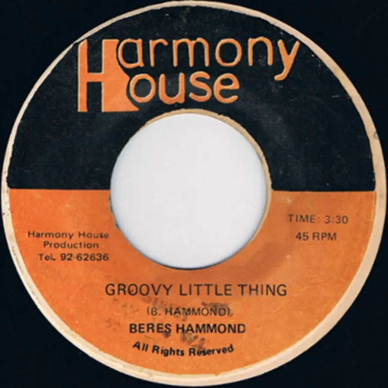 Groovy Little Thing Riddim - Harmony House, Vp