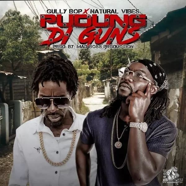 gully bop and natural vibes - pudung di guns