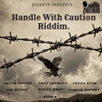 Handle With Caution Riddim – ZigeDub Productions
