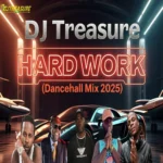 Hard Work Dancehall Mix 2 – Dj Treasure