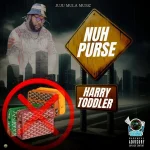 Harry Toddler – Nuh Purse