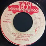 Have You Ever Riddim – Various Labels