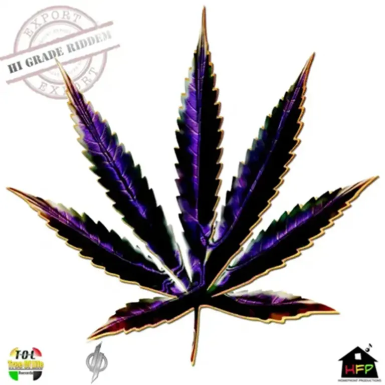 High Grade Riddim - Homefront Productions