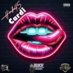 Hink45 – Cardi
