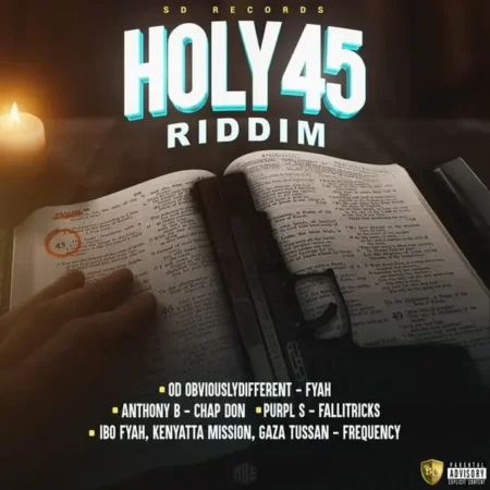 holy45 riddim - sd records