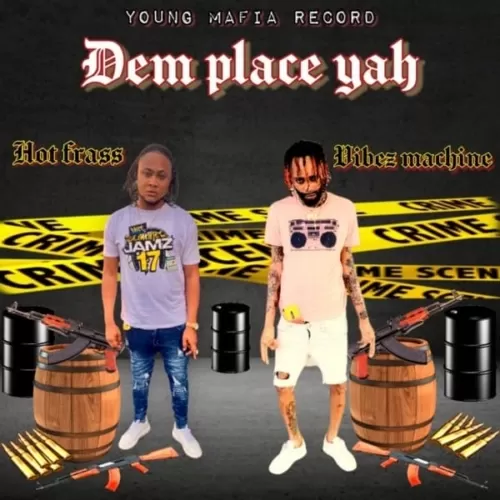 hot frass and vibes machine - dem place yah