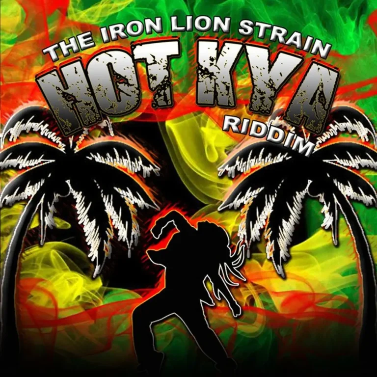 Hot Kya Riddim - Iron Lion Productions