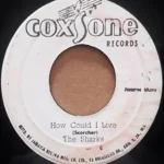 How Could I Live Riddim – Various Labels