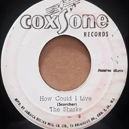 How Could I Live Riddim - Various Labels