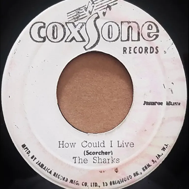 How Could I Live Riddim - Various Labels