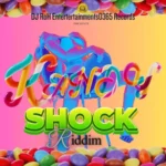 Kandy Shock Riddim – DJ RoH Entertainments0365 Records