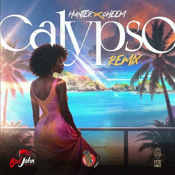 Hunter X Cheem - Calypso (remix)