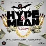 Hype And Mean Riddim – Vayda Entertainment