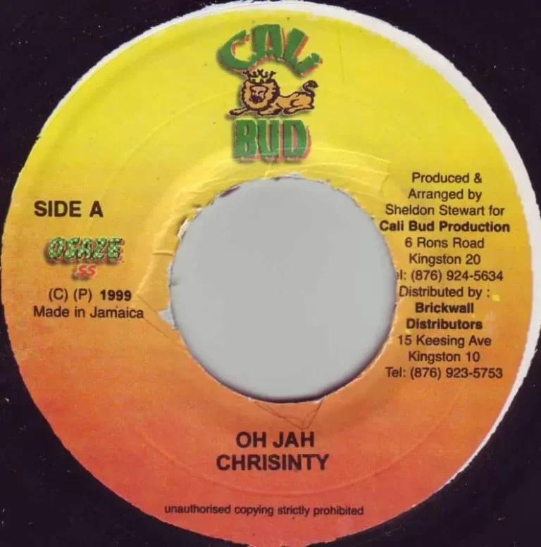 i dont want to be no general riddim - various producers