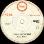 I Shall Not Remove Riddim – Unknown Label