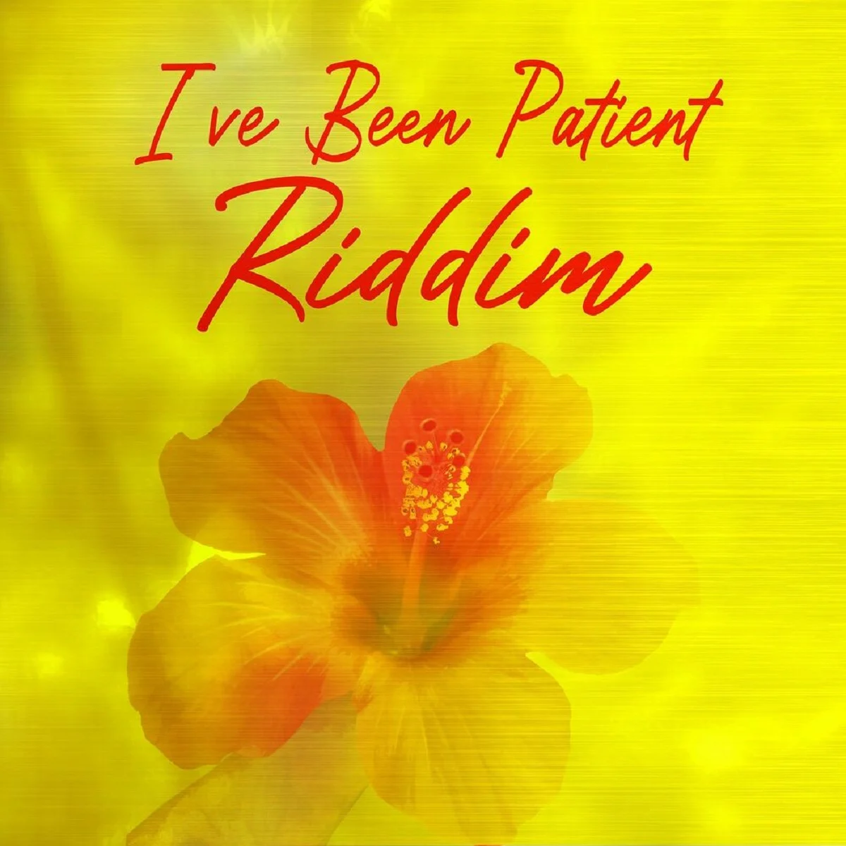 I've Been Patient Riddim - Ione Productions