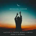 Impossible Riddim (2024) – Nuh Erks Records