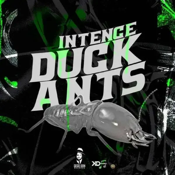 Intence - Duck Ants