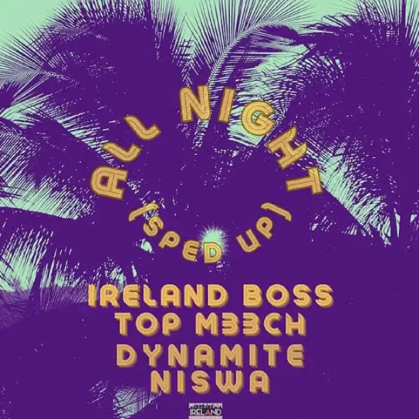 Ireland Boss, Top M33ch, Dynamite & Niswa - All Night (sped Up)