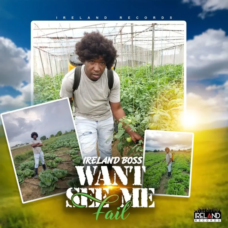 Ireland Boss - Wan't See Me Fail