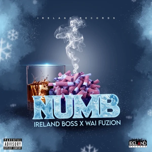 Ireland Boss X Wai Fuzion - Numb