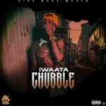 Iwaata – Chubble