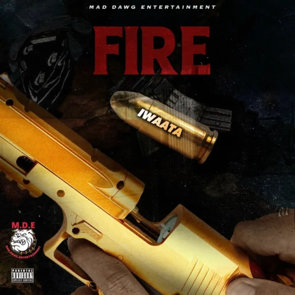 Iwaata - Fire