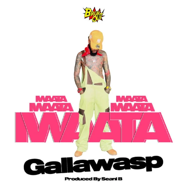 Iwaata - Gallawasp