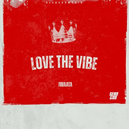 Iwaata – Love The Vibe Iwaata - Love The Vibe