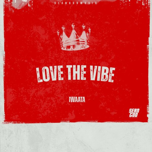 Iwaata - Love The Vibe