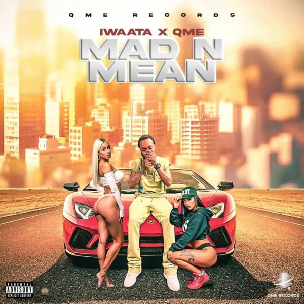 Iwaata - Mad N Mean
