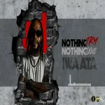 Iwaata – Nothing Try Nothing Done