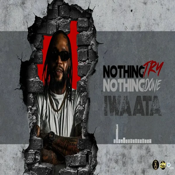 Iwaata - Nothing Try Nothing Done