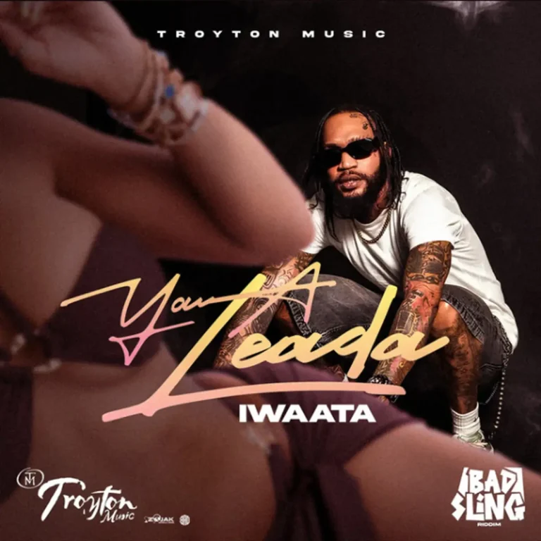 Iwaata - You A Lead