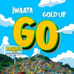 Iwaata x Gold Up – Go