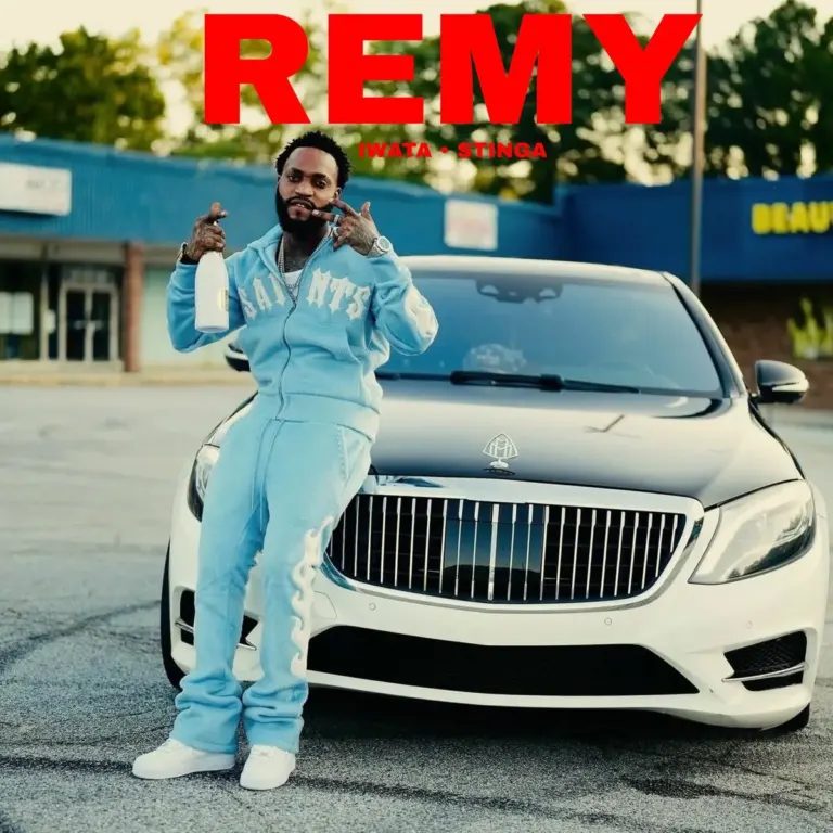 Iwaata x Stinga – Remy Iwaata X Stinga - Remy