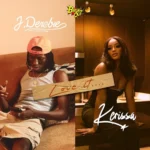 J. Derobie x Kerissa x Seani B – Love It