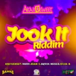 Jook It Riddim – UNKNOWN