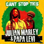 Julian Marley & Papa Levi – Can’t Stop This