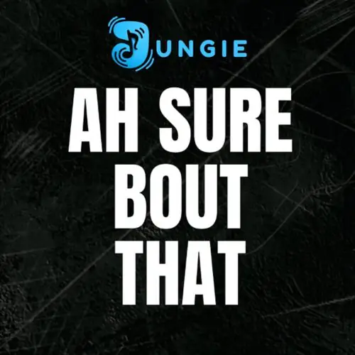 jungie - ah sure bout that