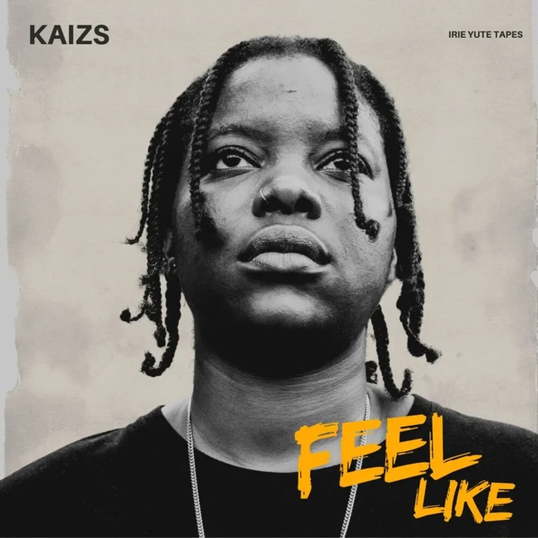 Kaizs - Feel Like