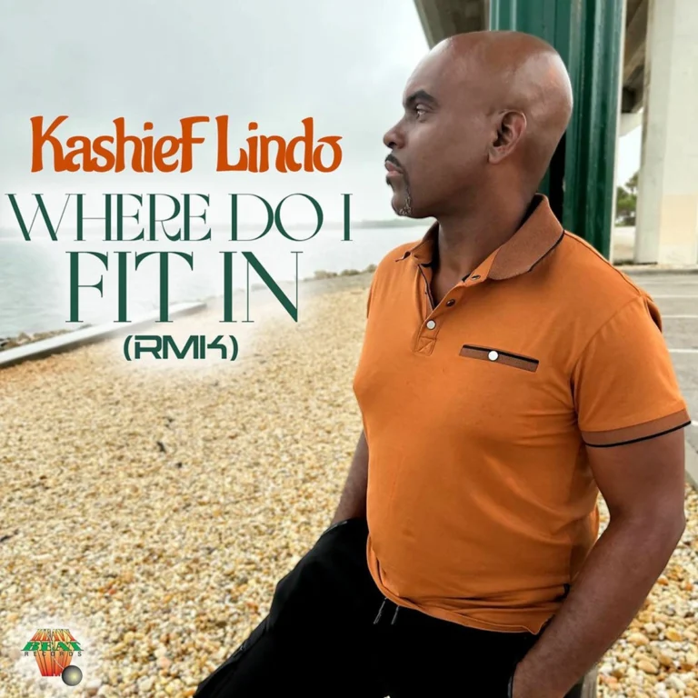 Kashief Lindo - Where Do I Fit In (rmk)